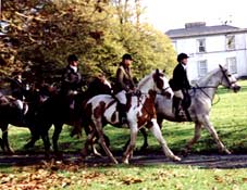 Ireland-Connemara/Galway-Cross Country Winter Escape